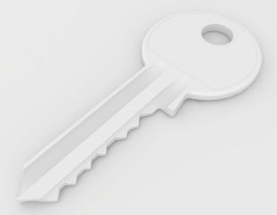 beautiful key lying on the gray plane