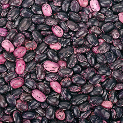 background from kidney beans