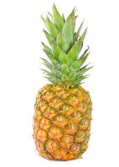 Fototapeta premium pineapple