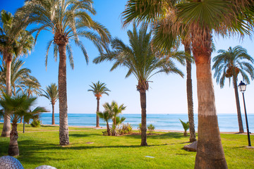 Oropesa de Mar in Castellon palm tree garden in mediterranean