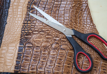 Obraz premium Crocodile skin texture