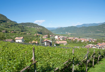 Weinort Tramin an der Südtiroler Weinstrasse