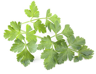Green parsley isolated on a white background.