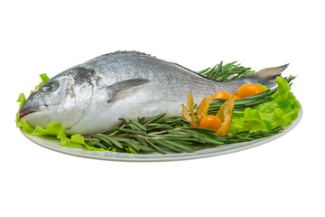 Raw dorada