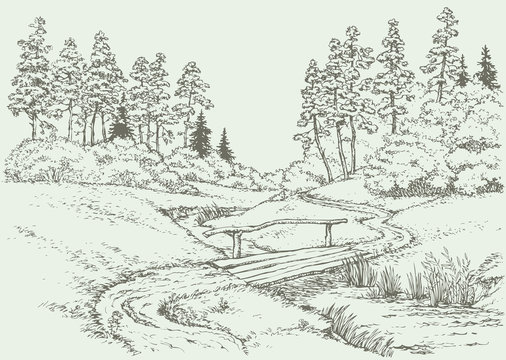 Vector landscape. Wooden bridge over the forest creek