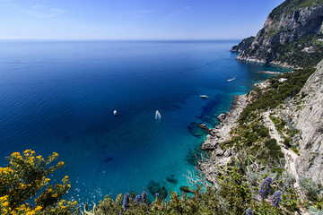 Capri island