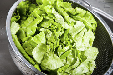 Fresh salad in sink covered water drops