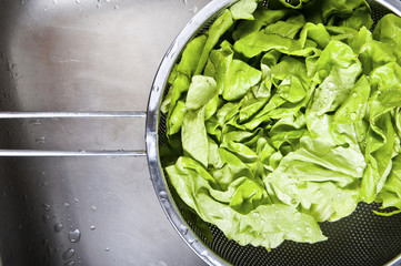 Fresh salad in sink covered water drops