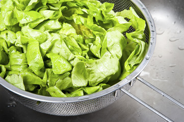 Fresh salad in sink covered water drops