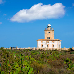 Fototapeta na wymiar Tabarca island Lighthouse in Alicante Spain