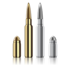 Vector Rifle and pistol bullets isolated on white