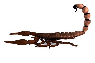 realistic 3d render of scorpion