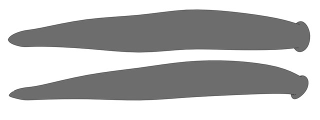 cartoon image of giant leech