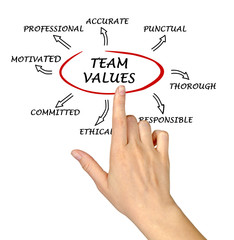 team values and norms