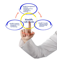 Wealth life cycle