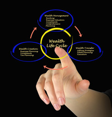 Wealth life cycle