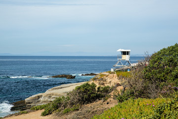 Beach in La Jolla