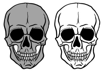 Set of Human Skulls - vector