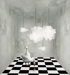 Clouds and ducks in a surreal room - obrazy, fototapety, plakaty