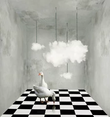 Foto op Canvas Wolken en eenden in een surrealistische kamer © vali_111