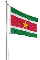 3D flag of Suriname