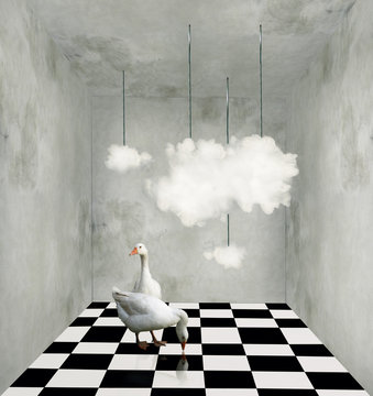 Clouds and ducks in a surreal room
