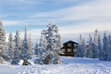 winter