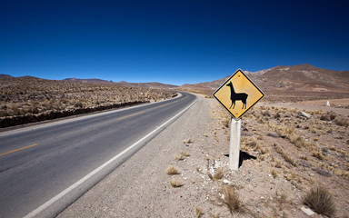 alpaca road sign - 60835800