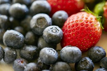 Fresh blueberries