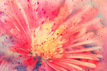 watercolor artwork with red aster close up