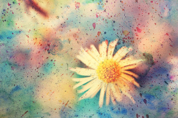 grunge watercolor artwork with small chamomile