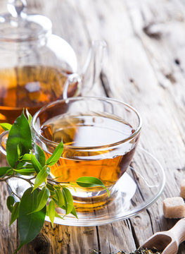 Fototapeta Transparent cup of green tea