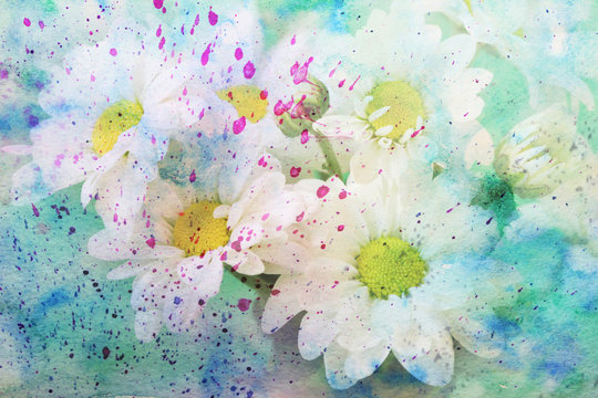 gentle chamomile's flowers and watercolor © abigail210986