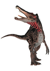 Fototapeta na wymiar Dinosaur Spinosaurus