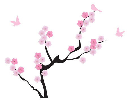 vector cherry tree in blossom with birds
