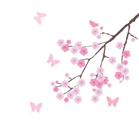 vector cherry blossom with butterflies