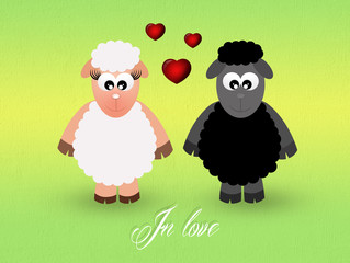 sheeps in love