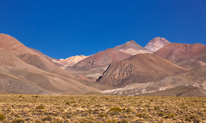 Bolivia volcano