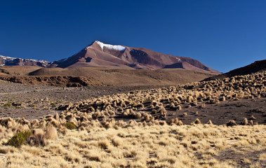Bolivia volcano