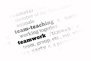 Teamwork Dictionary Definition