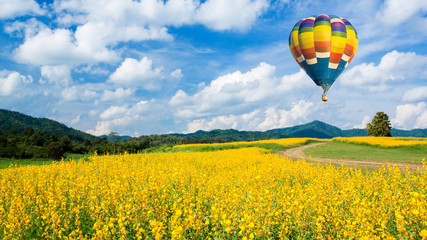 Montgolfière au-dessus des champs de fleurs jaunes contre le ciel bleu