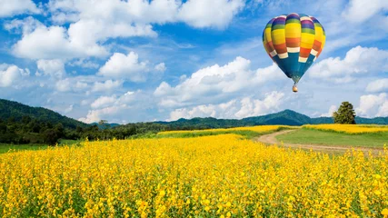  Heteluchtballon over gele bloemenvelden tegen blauwe lucht © littlestocker