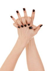 Pair of women's hands with nails covered with black lacquer