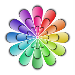 Color abstract flower isolated on white background