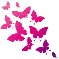 butterflies design