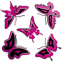 butterflies design