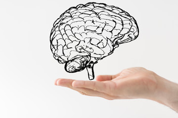 brain hand
