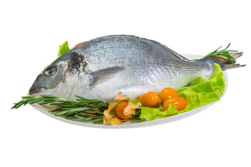 Raw dorada