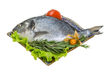 Raw dorado with herbs