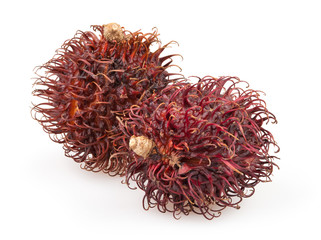 rambutan group